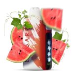 ELF BAR Nic King 30000 - Watermelon Ice (Кавун Лід)