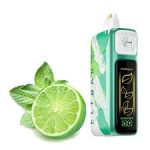 ELF BAR Nic King 30000 - Key Lime (Лайм)